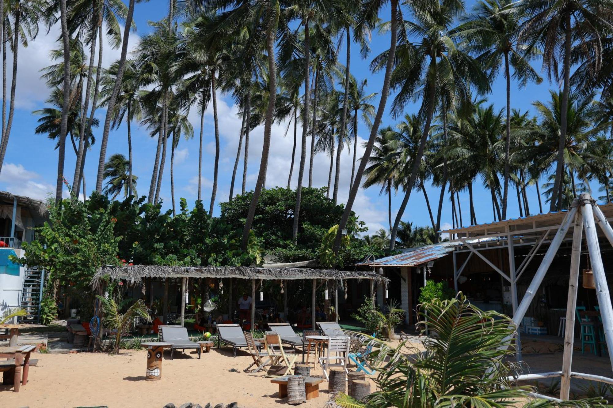Eva Hut Mui Ne Beach Hostel Exterior foto