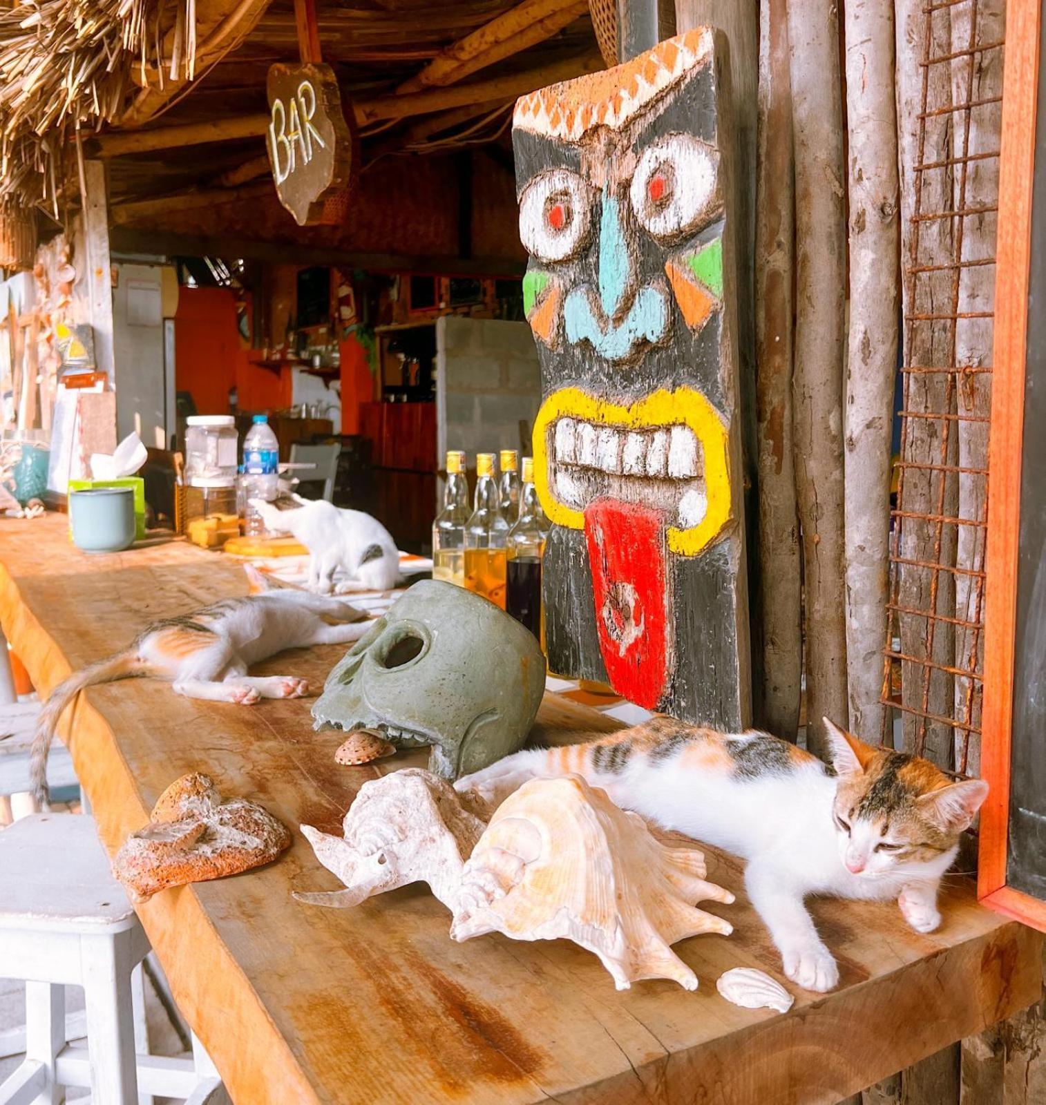 Eva Hut Mui Ne Beach Hostel Exterior foto